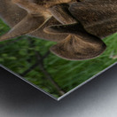 JBS 2500 Metal print