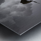 JBS 5291  Metal print