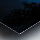 ZJS 8379  Metal print