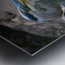 JBS 3491 Metal print