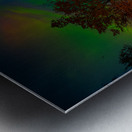 JBS 3816  Metal print