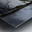 Eagle-Gogama Metal print