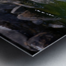 JBS 3491 2 Metal print