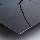 ZJS 8305  Metal print