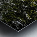 ZJS 9144  Metal print