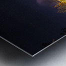 ZJS 6457  Metal print