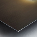 JBS 4756  Metal print