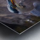 JBS 3493 2 Metal print