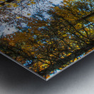 JBS 7125  Metal print