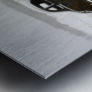 JBS 5025 Metal print