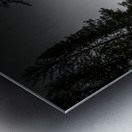 JBS 2030 Metal print