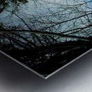 JBS 5227 Metal print