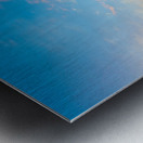 JBS 9189 Metal print