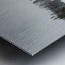 JBS 7558  Metal print