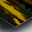 JBS 5786 Metal print