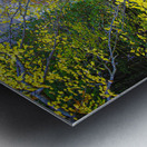 ZJS 5787  Metal print