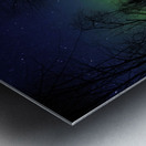 JBS 9808 1 Metal print