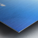 JBS 6991  Metal print