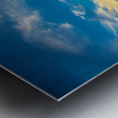 JBS 5301 Metal print