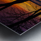 JBS 9799 Metal print