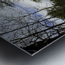 JBS 5227 16x20 Metal print