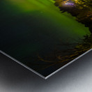 JBS 2315 Metal print