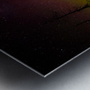 JBS 1455 2 Metal print