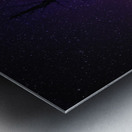 CRC 1662 Metal print