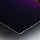 JBS 0554  Metal print