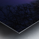 JBS 4147 Metal print