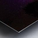 JBS 3413 Metal print