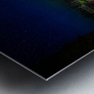 DSC 5205  Metal print