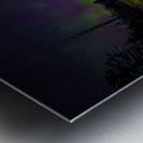 JBS 4794  Metal print