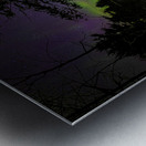 JBS 5199  Metal print