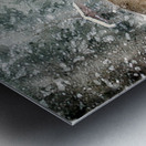 JBS 3204 2 Abstract Metal print