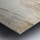 Cow Moose Abstract Metal print