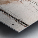 BULL MOOSE ABSTRACT Metal print