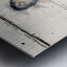 Abstract Deer Metal print