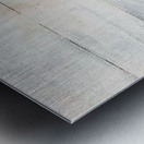 bearonbrd Metal print