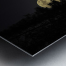 JBS 2066  Metal print