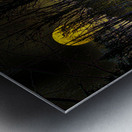 JBS 9682  Metal print