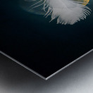 JBS 3024  Metal print