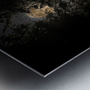 JBS 8757  Metal print