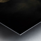 JBS 4030  Metal print