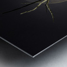 JBS 0997 Metal print