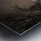 Z62 0235 2  Metal print