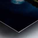 JBS 4708  Metal print