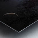 ZJS 6317  Metal print