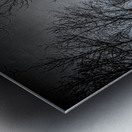 JBS 0236  Metal print