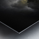 JBS 3041 Metal print